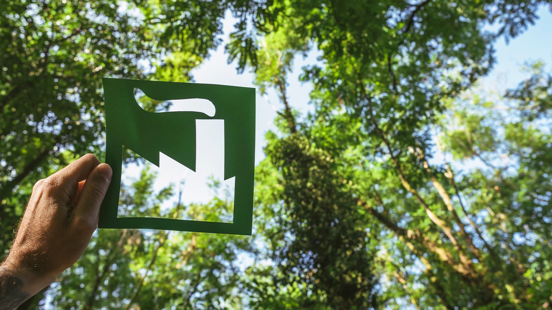 Sustainable Production in Machinery Industry